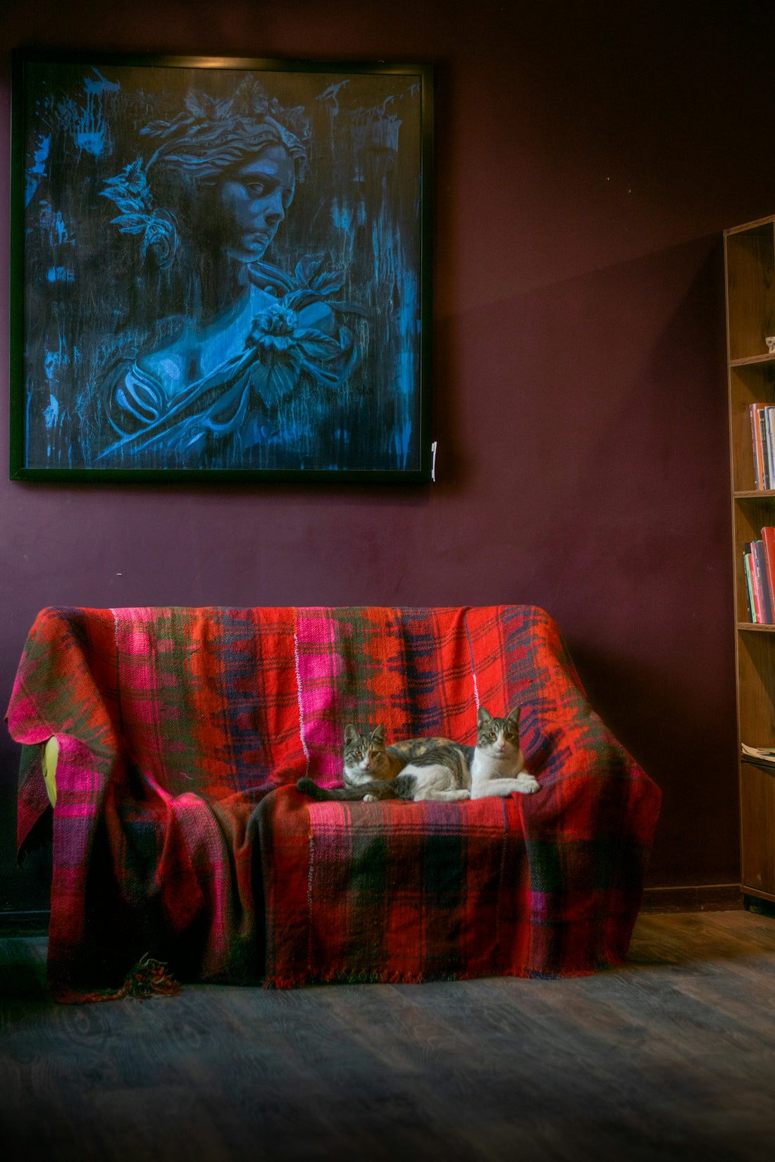 Two cats resting on a colorful blanketed sofa.