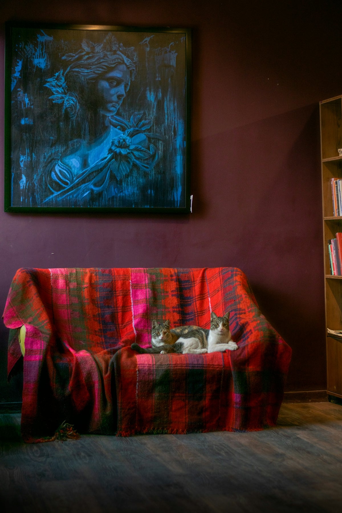 Two cats resting on a colorful blanketed sofa.