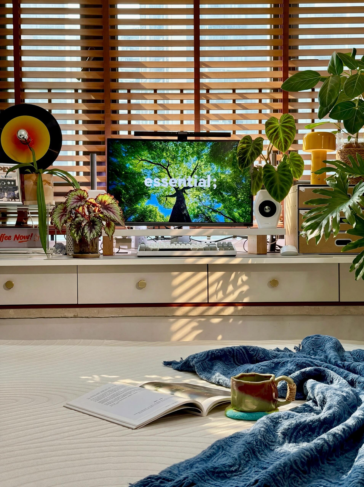 Cozy living room with tv, plants, book, and coffee.